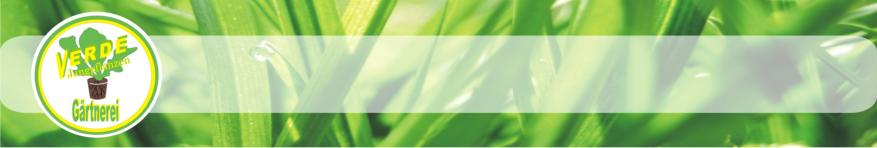 Verde Jungpflanzen - Kopfzeile mit Logo